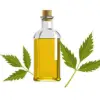 Neem Insecticides